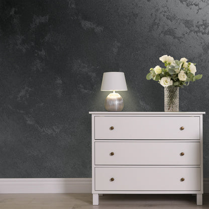 Silver Sand decorative paint in Black 40 shade with a wind-blown sand textured pearlescent finish on a wall