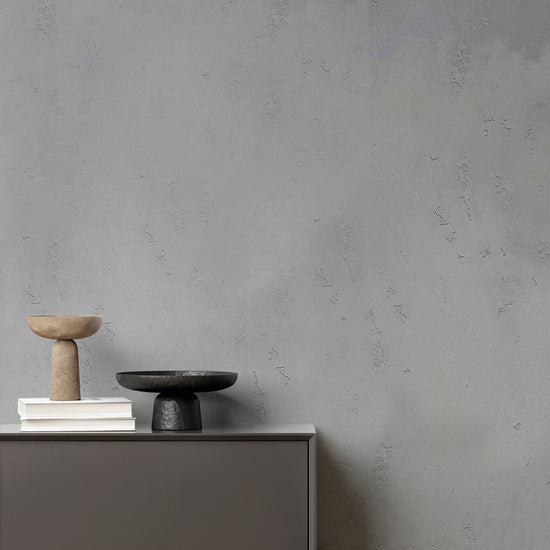 Concrete Effect decorative paint in Mont Blanc shade with an industrial concrete finish on a wall